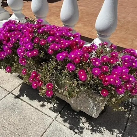 别墅 Cecylia 埃斯卡纳特尔