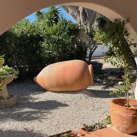 Cecylia * 埃斯卡纳特尔