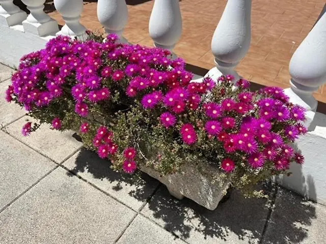 Villa Cecylia Es Canutells